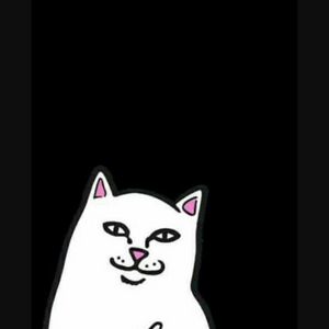 whiteroseraven