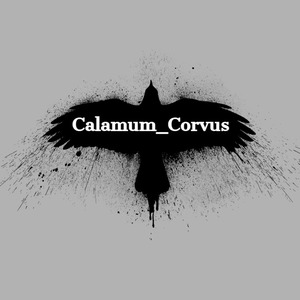 calamum_corvus