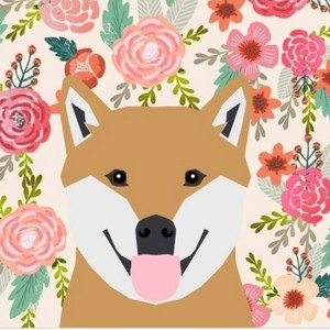 doggo_kawaii