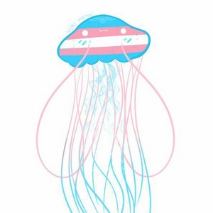 Jellyfish 