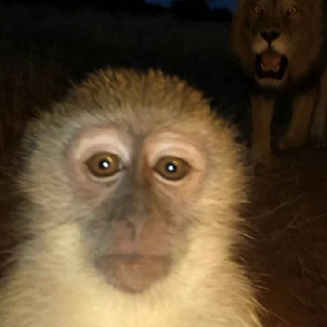 zoobiezoom