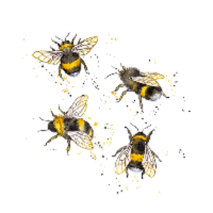 Bee_hive