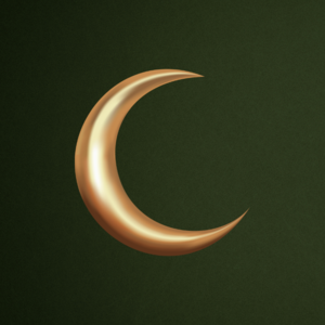 JustMoon