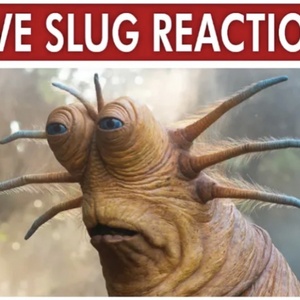 slug