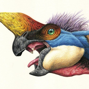 OviraptorFan