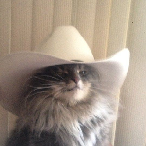 Cowboy_Cat