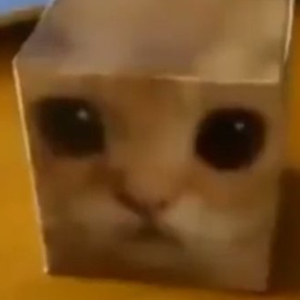 Aaaaaa
