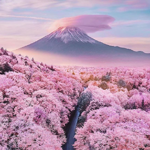 Pikachuland⚡️❤️⚡️