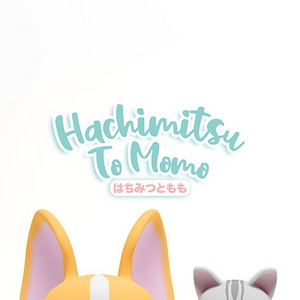 hachimitsutomomo