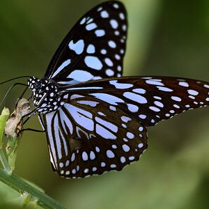 (◍•ᴗ•◍)✧*。