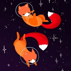 {SpaceFox}