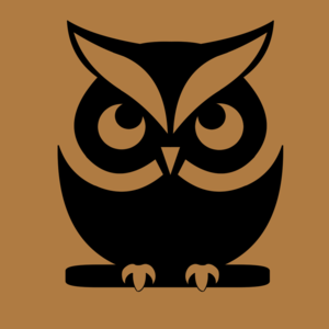 owlversestudio