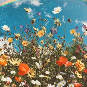 flowerpower8096