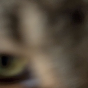 Glorpus