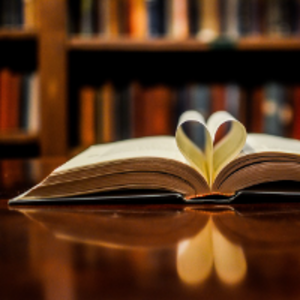DWbooklover