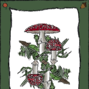 Urchen