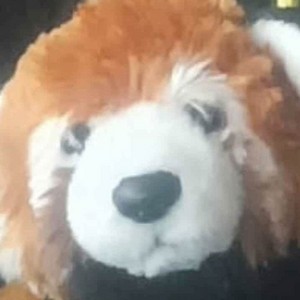 RayStoriadreamer