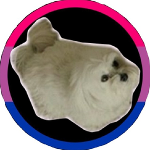 Jazi 