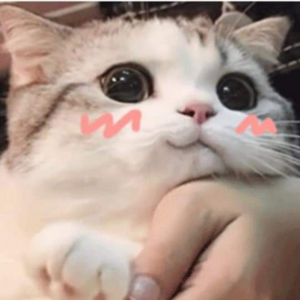 taki-kun