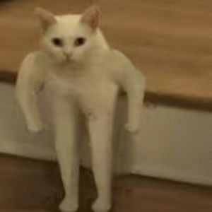 huh