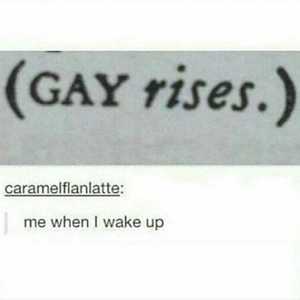 GayestGayoftheGays