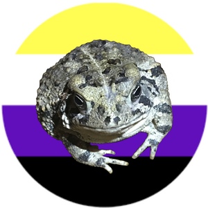 AnonymousAmphibian