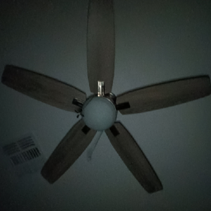 Si-kotik Ceiling Fan