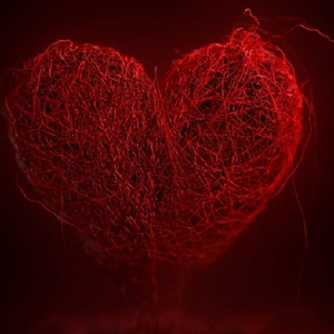 ‼️heartstrings‼️