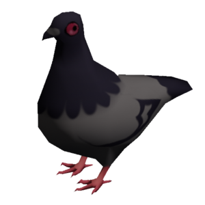 Loudpigeon