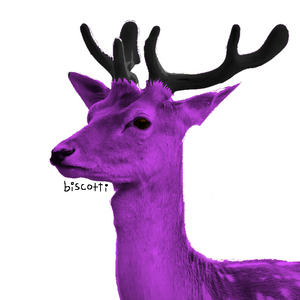 Biscotti_Soda