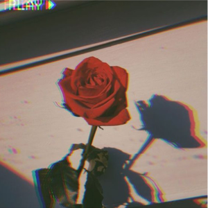 Thorny_Roses