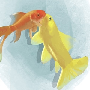 mimithegoldfish