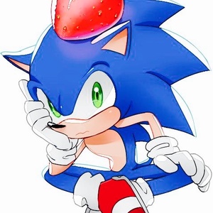 sanic