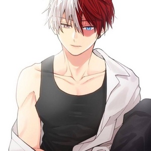 Shoto Todoroki