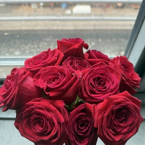 lovelypotato31
