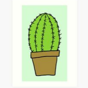 Suede Cactus