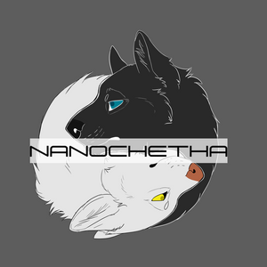 Nanochetha