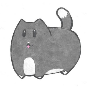 scnguyenar