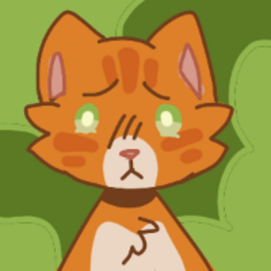 felinesinorbit