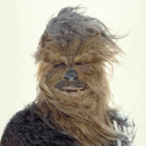 ᗪᗩᖇTIᔕTᔕᗰOᗰᗰᗩ