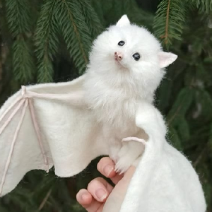 White Bat 