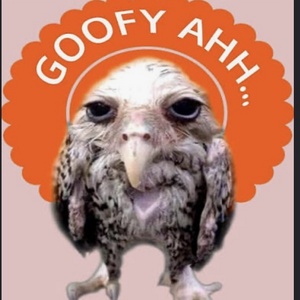 Goofy
