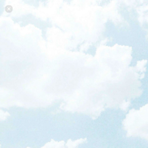 Cae