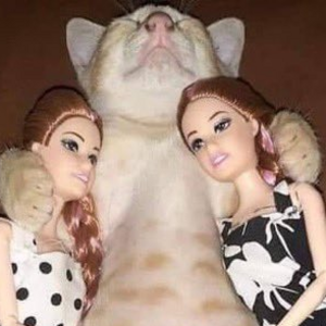 citrus