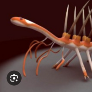 cambriancritter