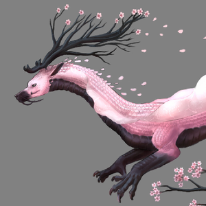 Sakuradrake