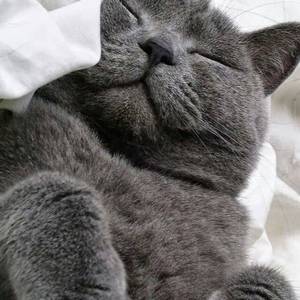CutiePie