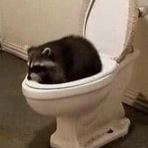 Raccoon_Spoon