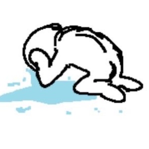 ヽ(•̀ω•́ )ゝ✧