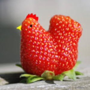 ichigo hen